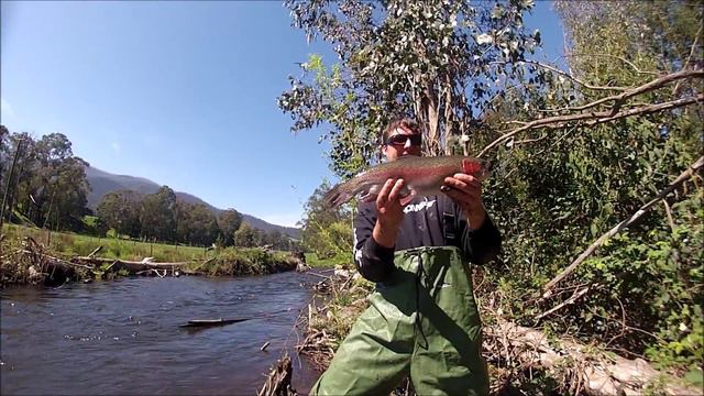 Ryan's Epic Trout Catch & Release - Episode 2 смотреть онлайн