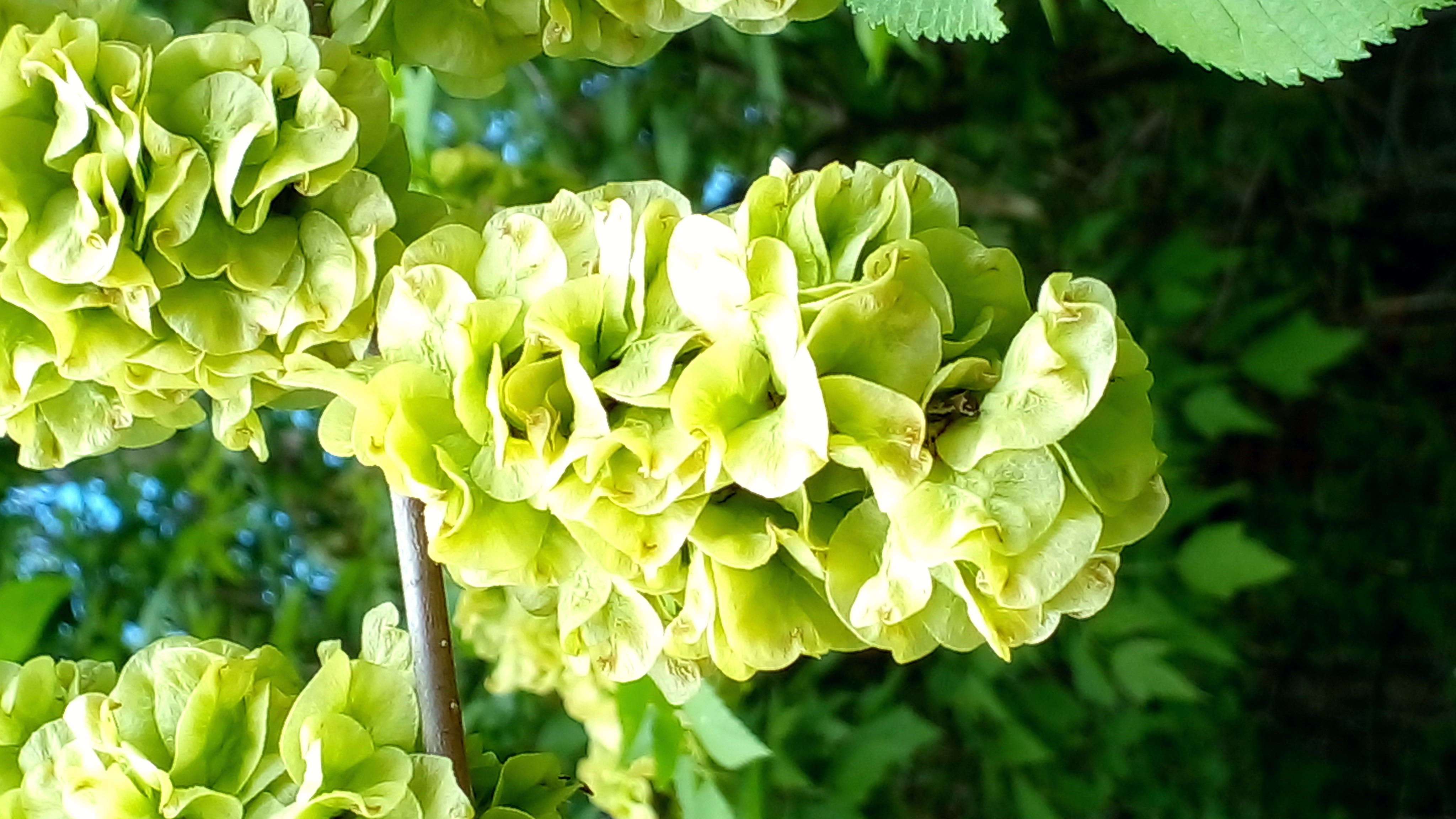Природные Шедевры смотреть онлайн