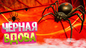 Grounded ➤  КАК ПОЛУЧИТЬ КИНЖАЛ 3 УРОВНЯ / КИНЖАЛ ВДОВЫ / ВСЕ ЧЁРНЫЕ ВДОВЫ / BLACK WIDOW