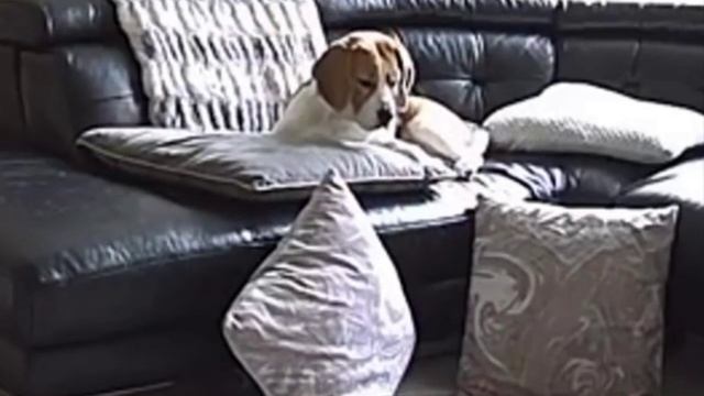 Всякие мелочи не могут меня разочаровать Также я: смотреть онлайн