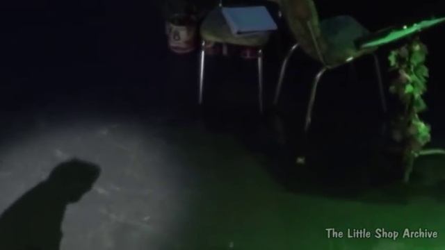 Sudden Changes / Feed Me (Get It) - Eddie Cooper & Jake Gyllenhaal - LSOH - Encores! Off Center смотреть онлайн