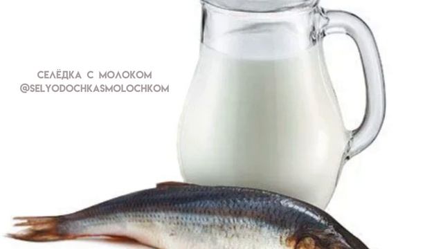 селёдка с молоком 10 минут под тутуту+мемемемяу смотреть онлайн
