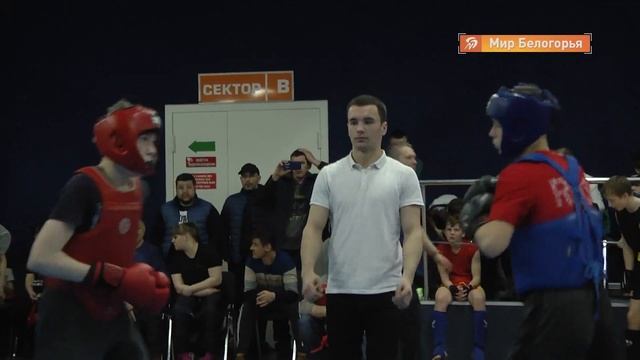 Соревнования по ушу-саньда в Белгородской области смотреть онлайн