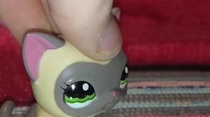 LPS сериал лагерь для гимнасток !ПОЛНЫЙ!