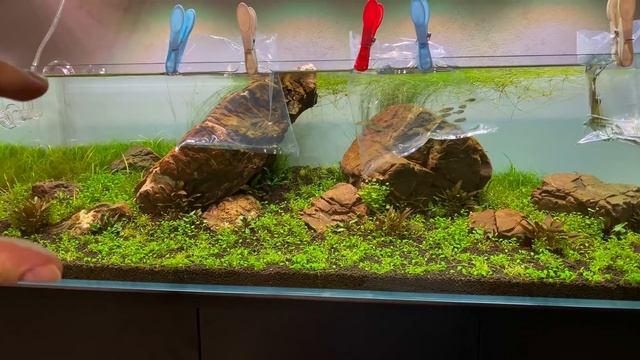 CRAZY Schooling Behavior!!! I've Found The Perfect Fish For The Big Shallow! смотреть онлайн