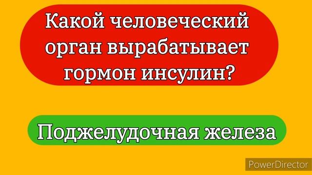 Тест "Эрудит": вопросы на эрудицию и общие знания, на которые не каждый сможет ответить смотреть онлайн