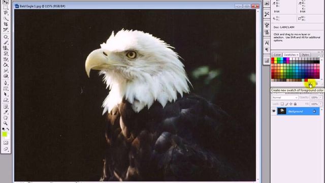 Tutorial Adobe Photoshop Bahasa Indonesia - 58 Palet Swatches смотреть онлайн