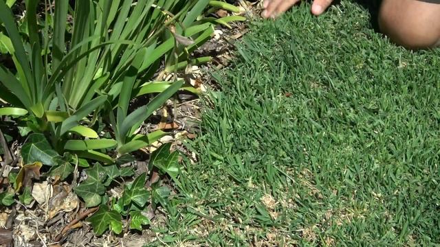 Fiskars Swivel Grass Garden Scissors Review смотреть онлайн