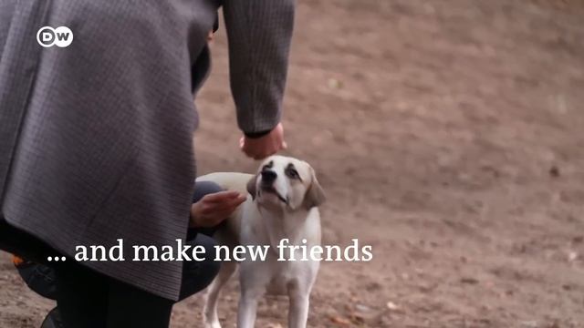 Countertenor Nils Wanderer: Portrait of the versatile singer with the poignantly high voice смотреть онлайн