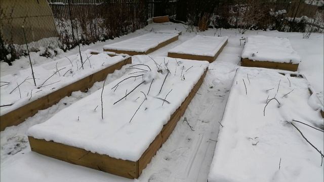 Когда сажать чеснок под зиму? Смотрим на градусник. смотреть онлайн