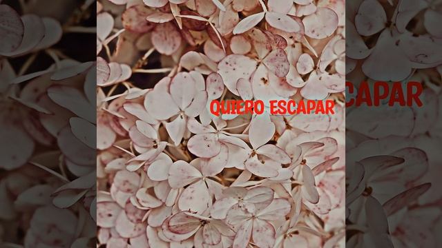 Quiero Escapar смотреть онлайн