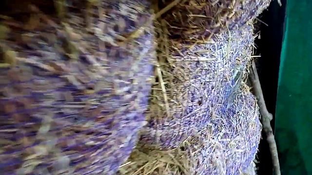 Здесь можно ЖИТЬ??? смотреть онлайн