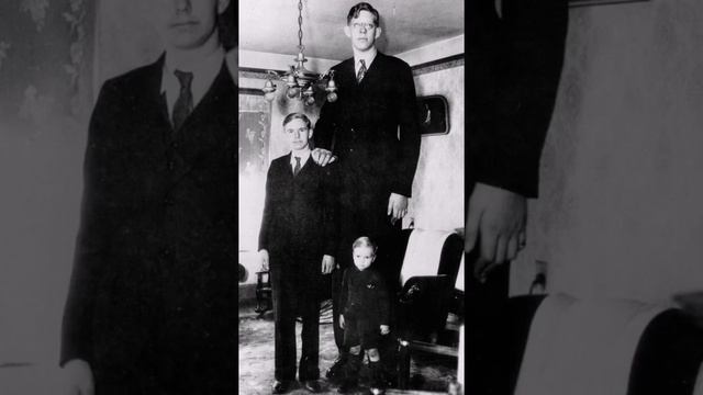 ДЯДЯ СТЕПА ВЕЛИКАН смотреть онлайн