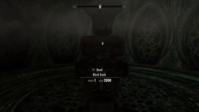 Skyrim: The Very Special Super Awesome Edition (The Little Black Book)