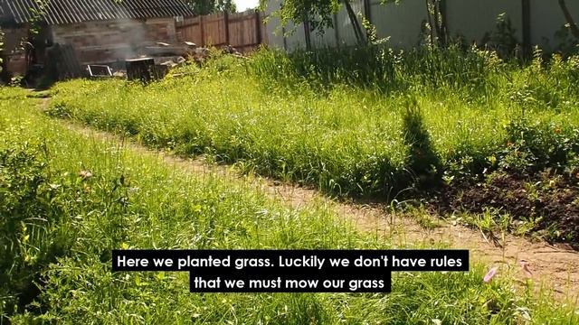 How Russians grow their food смотреть онлайн