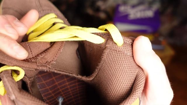 NIKE SB Bruin High x Why So Sad? REVIEW - Special Skateboarding Kicks with Premium Materials смотреть онлайн