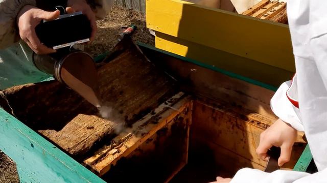 ЗАМЕНА ДОНЬЕВ. ПЕРЕСАДКА СЕМЕЙ!!! смотреть онлайн