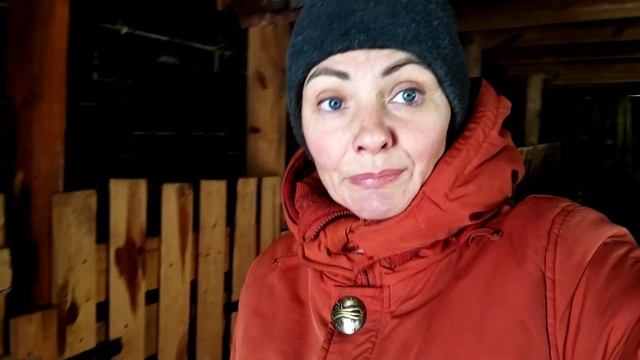 Первокотки дикие?Какая коза нормальная после 1 окота.Породистая,или дворняжка лучше смотреть онлайн