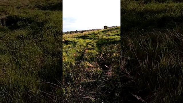 Что значит термин ( ненужные люди)))) ?? смотреть онлайн