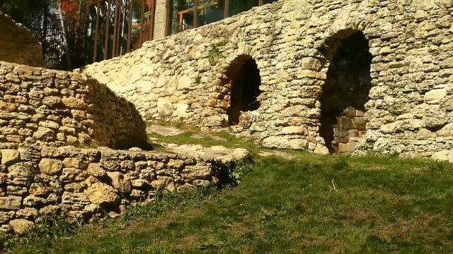 ГЕЛЕНДЖИК 2022. АМУРСКИЙ ТИГР. ЖИВОТНЫЕ САФАРИ-ПАРКА смотреть онлайн