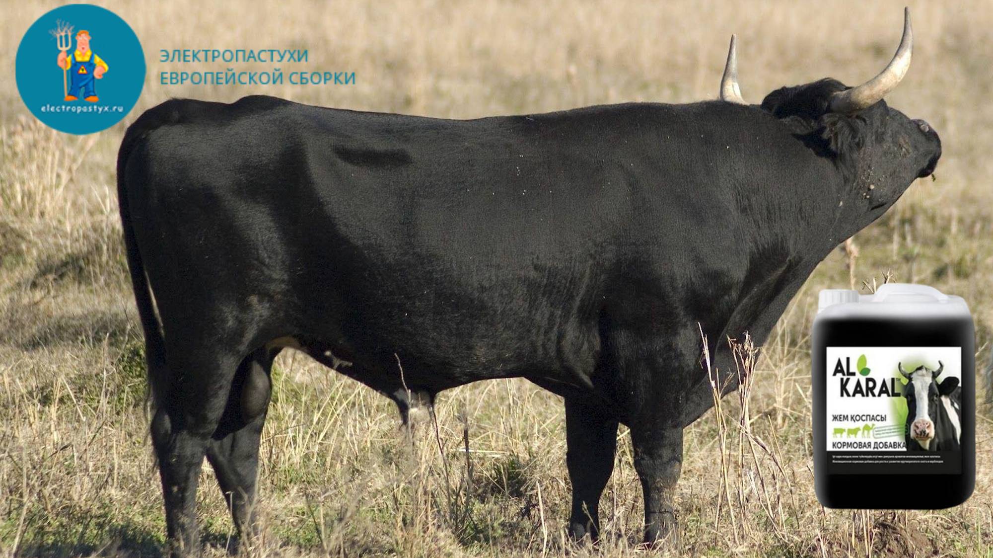 Отзыв на кормовую добавку "Al Karal для КРС". смотреть онлайн