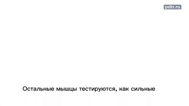 Как работает метод P-DTR | пример работы от Фатиха Шафикова