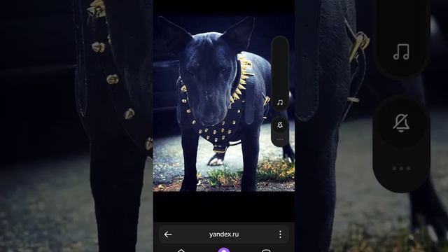 опасные собаки смотреть онлайн