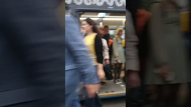 Автобус НЕФАЗ-5299 в Москве на остановке Река руднёвка. смотреть онлайн