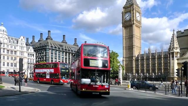 Плоские черви (глисты) в человеке. Ленточные черви. Черви в организме человека
