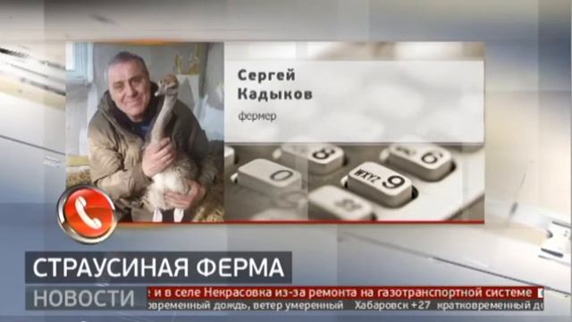 В Ванинском районе фермеры планируют разводить страусов. 05/07/21 смотреть онлайн