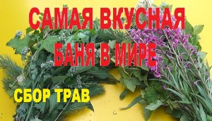 Сбор трав для "вкусной бани".