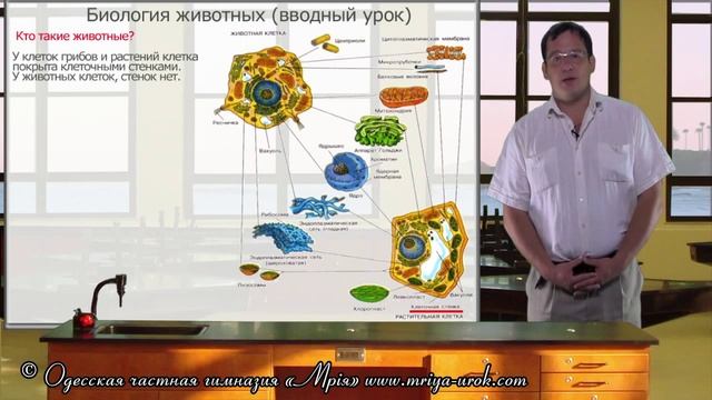 Биология животных знакомство смотреть онлайн