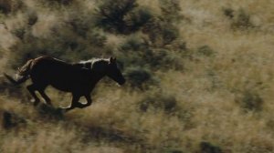 "Карма" ЭНИГМА стиль. ЛЕГЕНДАРНАЯ флейта
＂Karma＂ ENIGMA style. The LEGENDARY flute.