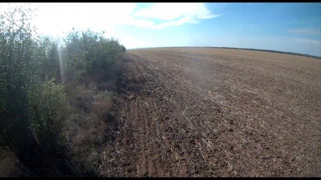 Открытие на куропатку 2020 в Крыму, без цензуры смотреть онлайн