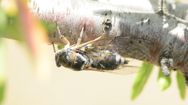 DSC_9159 смотреть онлайн