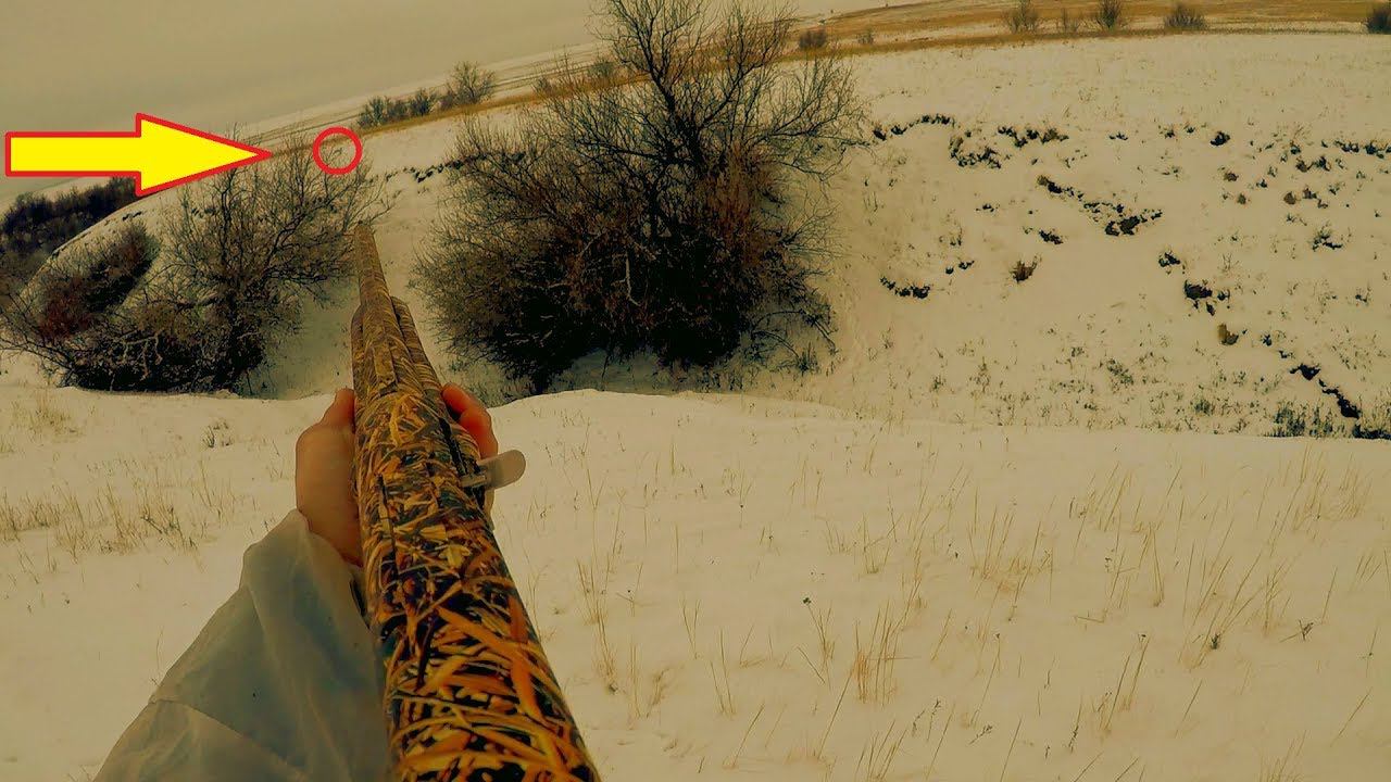 ОХОТА НА ЗАЙЦЕВ 2020!!! СТОЛЬКО ЗАЙЦЕВ И САМАЯ ТРУДОВАЯ ОХОТА!!! смотреть онлайн