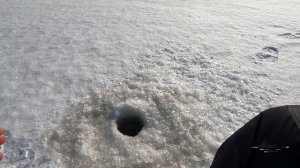 Зимняя ловля ПЛОТВЫ на ЧЕРТИКА ! УДАЧНАЯ рыбалка на БЕЗМОТЫЛКУ !