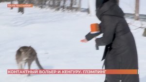В парке птиц "Малинки" презентовали "контактный вольер" с кенгуру