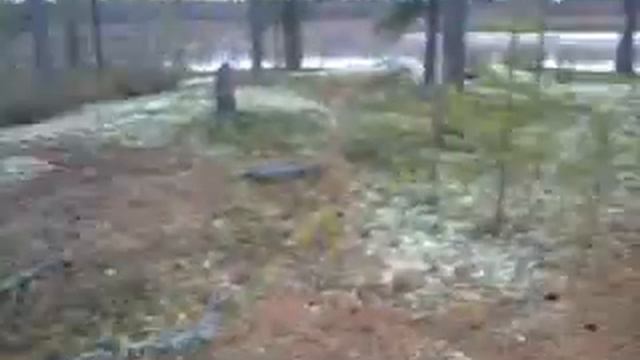 изба 8 км от моста пяку пур смотреть онлайн