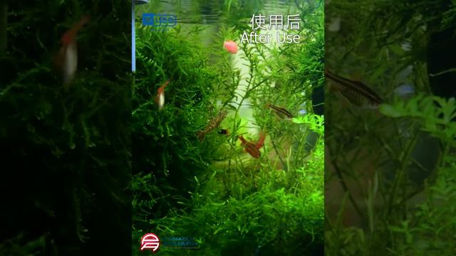 Yee YYH Series of Stabilizer neutralize residual chlorine and stabilize youur aquarium water pH! смотреть онлайн