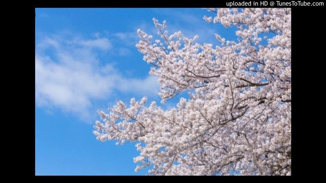 いっしょに歩こう　小桜エツ子（コクリコ)ピアノ　サクラ大戦3 弾いてみた смотреть онлайн