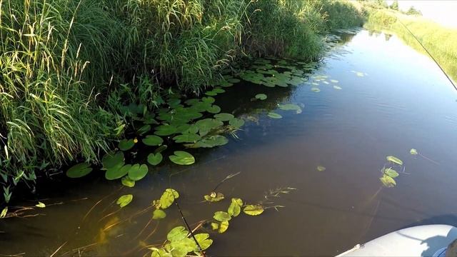 Нерская сплав и рыбалка. Неизданное лето 2022 смотреть онлайн