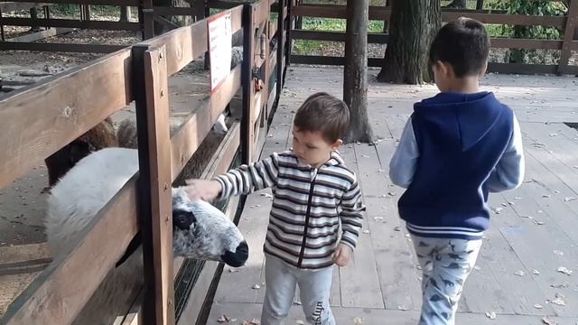 Ферма Внуково Аутлет Vnukovo Outlet Village смотреть онлайн