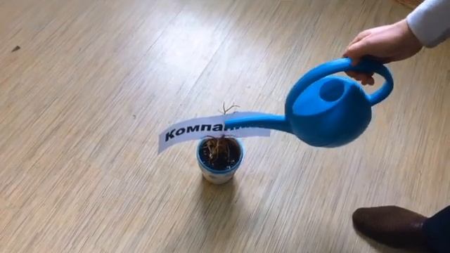 С Днем рождения, Алексей! смотреть онлайн