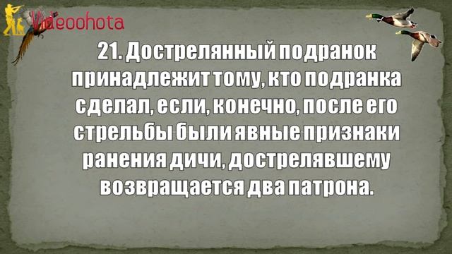 ТОП 35 неписаных правил охотника! Videoohota смотреть онлайн