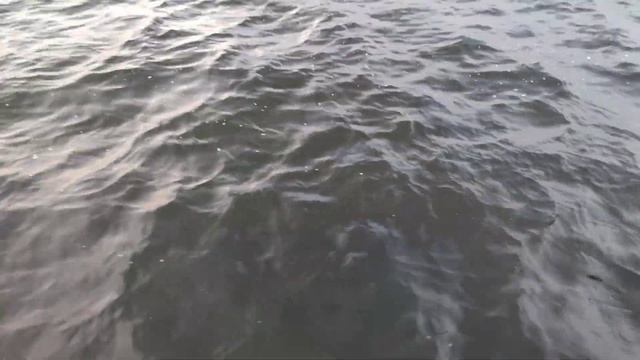 Красота реки Волга - The beauty of the Volga River смотреть онлайн