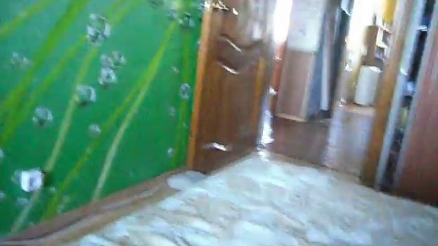 Цвергшнауцер Фаня смотреть онлайн