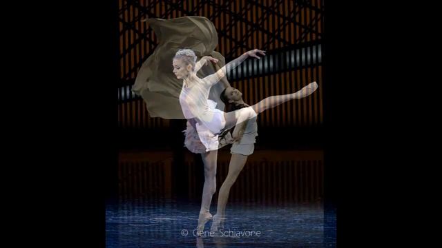 Ballet Photography by Gene Schiavone смотреть онлайн