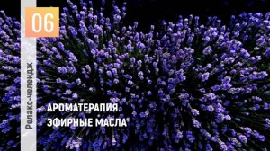 День 6: Отпуск для души. Перезагрузка. Ароматерапия. Эфирные масла.