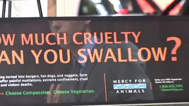MFA's Advertisement Campaigns: Broadcasting Veganism Into the Mainstream смотреть онлайн
